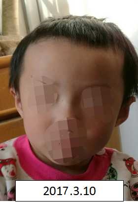 插鸡巴高清视频